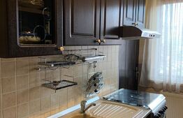 Apartament de 2 camere, 56 mp, Dambu