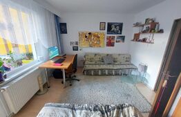 Garsoniera, 32 mp, Dambul Pietros 