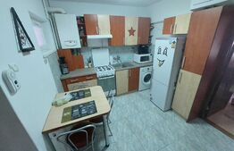 Garsoniera de 32 mp, Dambu Pietros