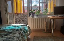 Garsoniera de 32 mp, Dambu Pietros