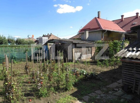 Casa de vânzare 3 camere Rovinari - 99639CV | BLITZ Târgu Mureș | Poza5