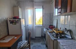 Apartament de 2 camere, 48 mp, Dambu Pietros 