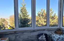 Apartament de 2 camere, 48 mp, Dambu Pietros 