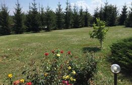 Casa cu 6 camere, 280 mp, teren 3800 mp, Unirii