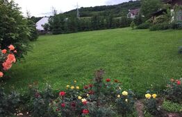 Casa cu 6 camere, 280 mp, teren 3800 mp, Unirii