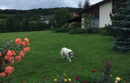 Casa cu 6 camere, 280 mp, teren 3800 mp, Unirii