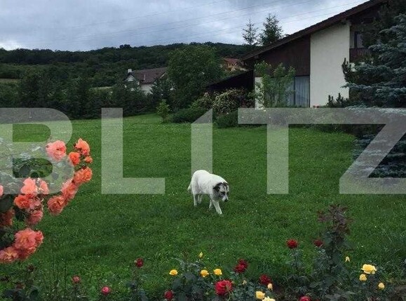 Casa de vânzare 6 camere Unirii - 99687CV | BLITZ Târgu Mureș | Poza7