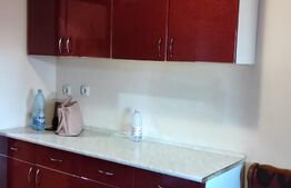 Apartament de 3 camere, decomandat, 75mp, pet friendly, zona Fabric 