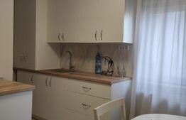 Apartament de 2 camere, 55 mp, la 10 minute de Complexul Studențesc