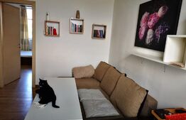 Apartament 2 camere, 38 mp, aproape de Complexul Studentesc