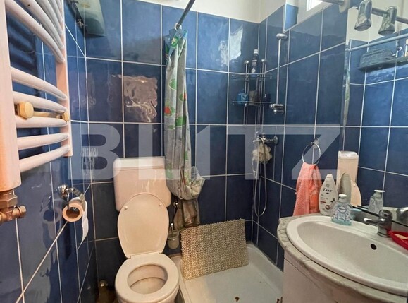 Casa de vânzare 1 camera Balcescu - 100348CV | BLITZ Timișoara | Poza5