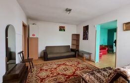 De investit! Casa individuala cu 346 mp utili, anexa de 71 mp, teren 1896 mp, Ghiroda