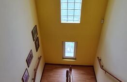 De investit! Casa individuala cu 346 mp utili, anexa de 71 mp, teren 1896 mp, Ghiroda