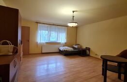 De investit! Casa individuala cu 346 mp utili, anexa de 71 mp, teren 1896 mp, Ghiroda