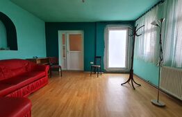 De investit! Casa individuala cu 346 mp utili, anexa de 71 mp, teren 1896 mp, Ghiroda