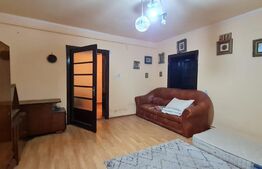 De investit! Casa individuala cu 346 mp utili, anexa de 71 mp, teren 1896 mp, Ghiroda