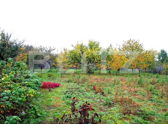 Casa de vânzare 13 camere Ghiroda - 100454CV | BLITZ Timișoara | Poza6