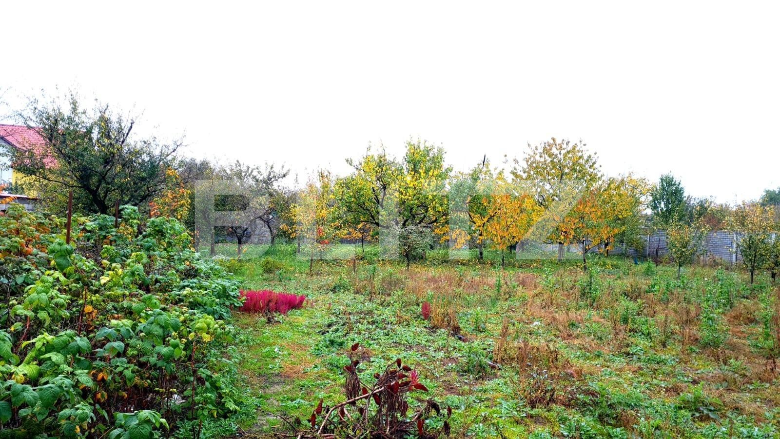 Casa de vânzare 13 camere Ghiroda - 100454CV | BLITZ Timișoara | Poza6