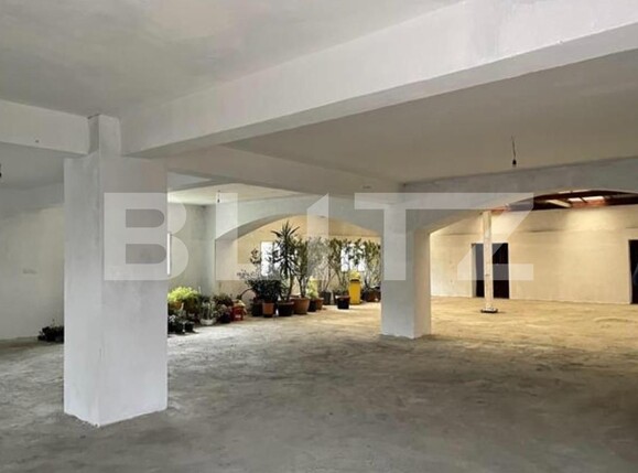 Spațiu comercial de închiriat Sagului - 100552SIC | BLITZ Timișoara | Poza2