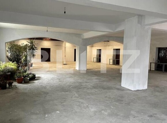 Spațiu comercial de închiriat Sagului - 100552SIC | BLITZ Timișoara | Poza1