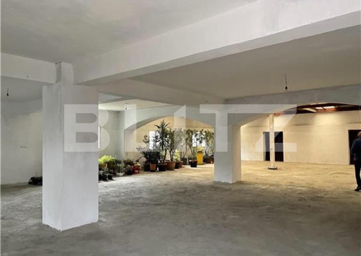 Spațiu comercial de închiriat Sagului - 100552SIC | BLITZ Timișoara | Poza2