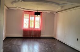 Casa mare de 5 camere, teren 1500 mp, Exterior Est