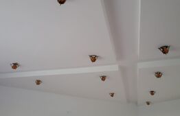 Casa mare de 5 camere, teren 1500 mp, Exterior Est