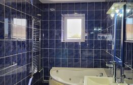 Casa mare de 5 camere, teren 1500 mp, Exterior Est