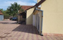 Casa mare de 5 camere, teren 1500 mp, Exterior Est