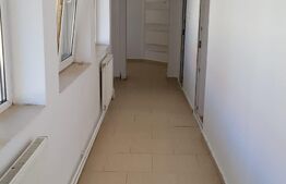 Casa mare de 5 camere, teren 1500 mp, Exterior Est