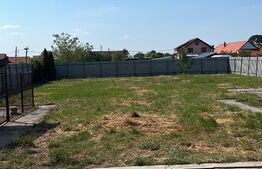 Casa mare de 5 camere, teren 1500 mp, Exterior Est