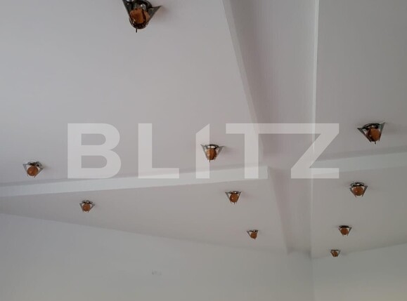 Casa de vânzare 5 camere Exterior Est - 100577CV | BLITZ Timișoara | Poza7