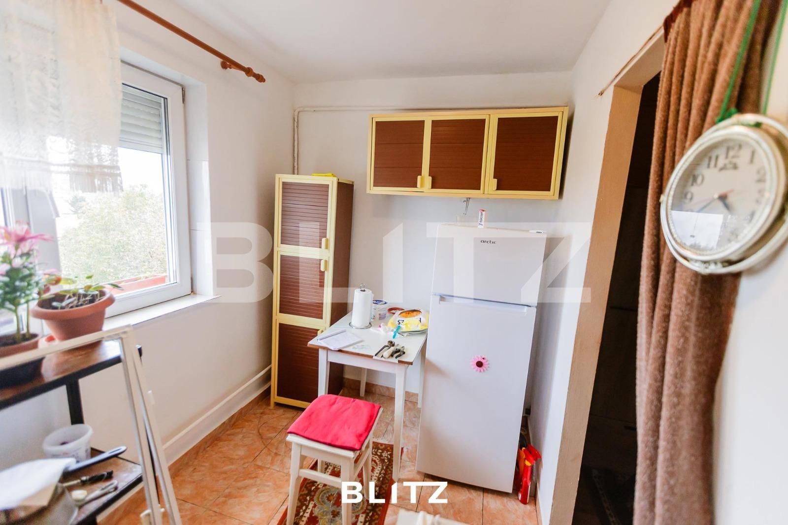 Apartament de vânzare 2 camere Iosefin - 100592AV | BLITZ Timișoara | Poza6