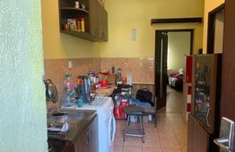 Apartament de 44 mp utili in Badea Cartan