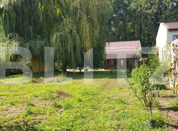 Casa de vânzare 6 camere Ghirodei - 100651CV | BLITZ Timișoara | Poza4