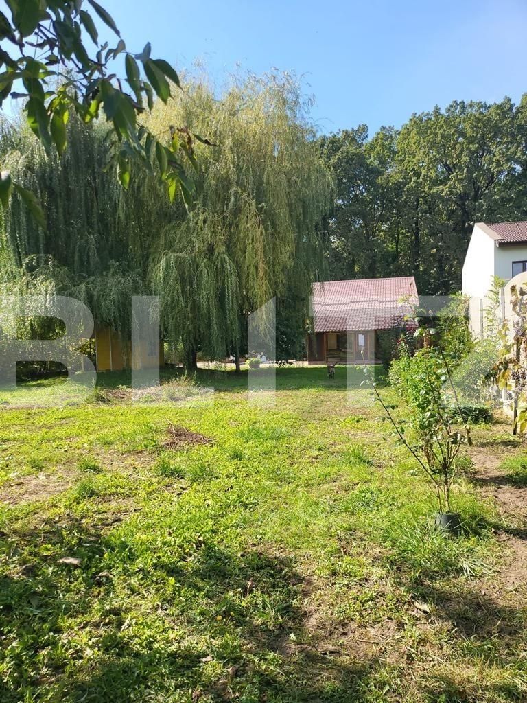 Casa de vânzare 6 camere Ghirodei - 100651CV | BLITZ Timișoara | Poza4