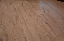 Case cu apartamente in ansamblu investitional din Timisoara!