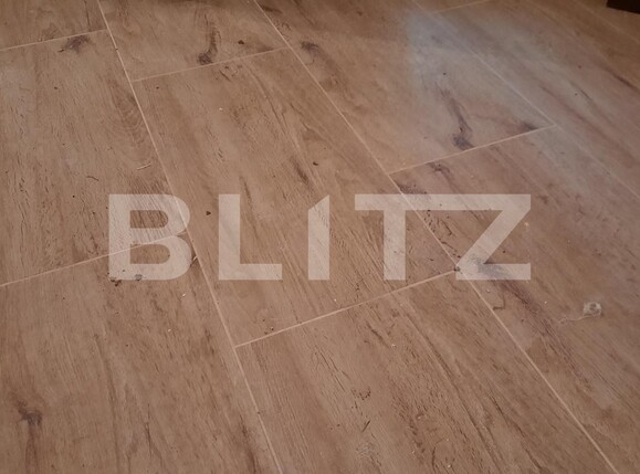 Casa de vânzare 8 camere Torontalului - 100654CV | BLITZ Timișoara | Poza11