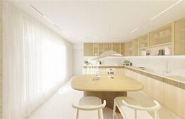 Duplex nou si ultramodern in Covaci!