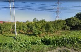 Două terenuri cu suprafață totală de 23.200 mp, Calea Lugojului