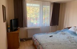 Casa cu 6 camere, 200 mp, teren 480 mp, zona Dambovita