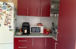 Casa cu 6 camere, 200 mp, teren 480 mp, zona Dambovita