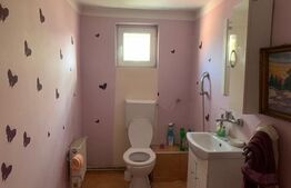 Casa cu 6 camere, 200 mp, teren 480 mp, zona Dambovita