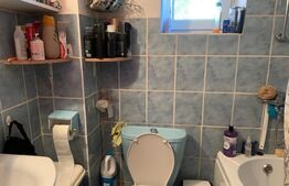 Casa cu 6 camere, 200 mp, teren 480 mp, zona Dambovita