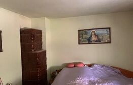 Casa cu 6 camere, 200 mp, teren 480 mp, zona Dambovita