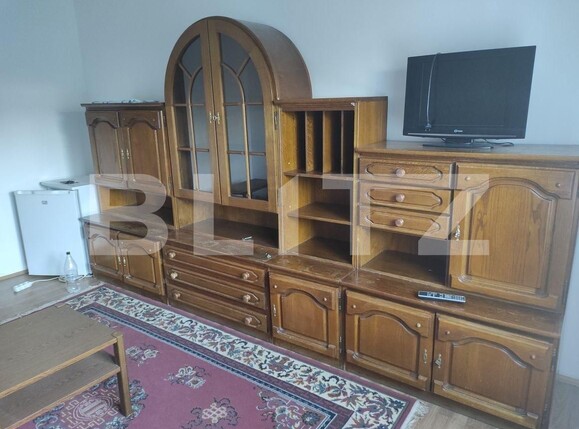 Garsonieră de vânzare Blascovici - 100731AV | BLITZ Timișoara | Poza5