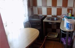 Garsoniera, 28 mp, Simion Barnutiu