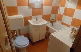 Garsoniera, 28 mp, Simion Barnutiu