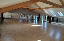 Spatiu comercial pe doua niveluri, 400 mp, zona Mehala