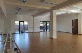 Spatiu comercial pe doua niveluri, 400 mp, zona Mehala